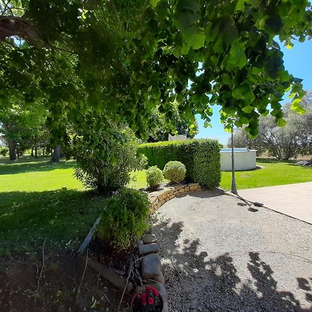 Apartamento l esquisse Cleon-d'Andran Exterior foto